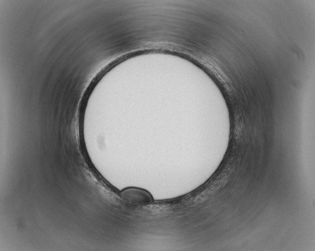 X0000111370888200908071212