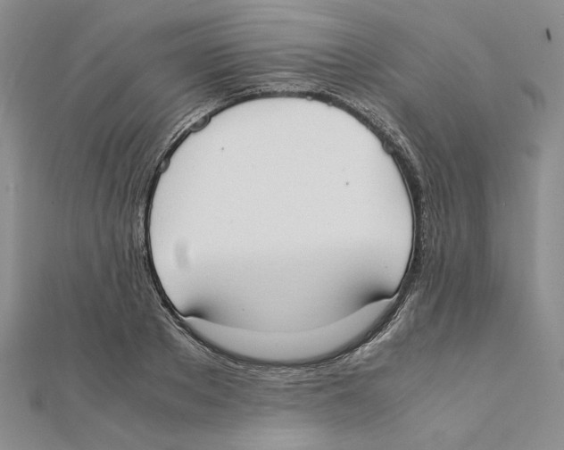 X0000111370889200908071212