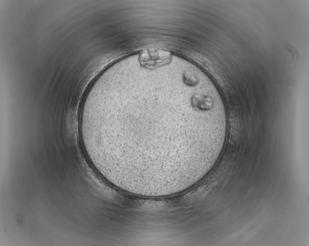X0000111370890200908071212
