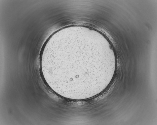 X0000111370891200908071212