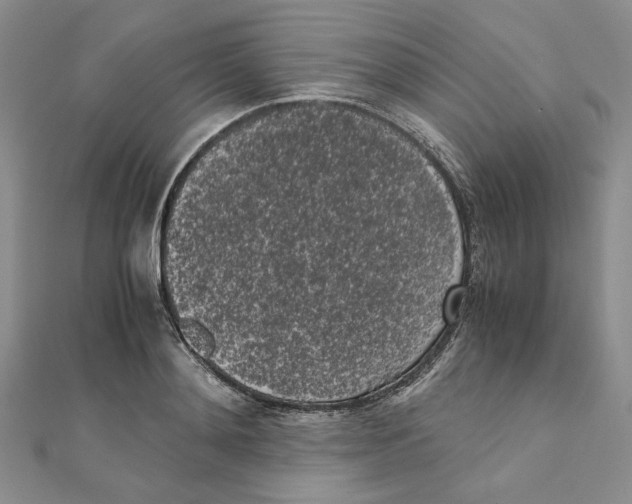 X0000111370892200908071212