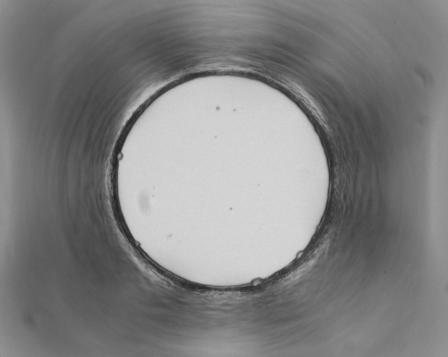 X0000111370893200908071212
