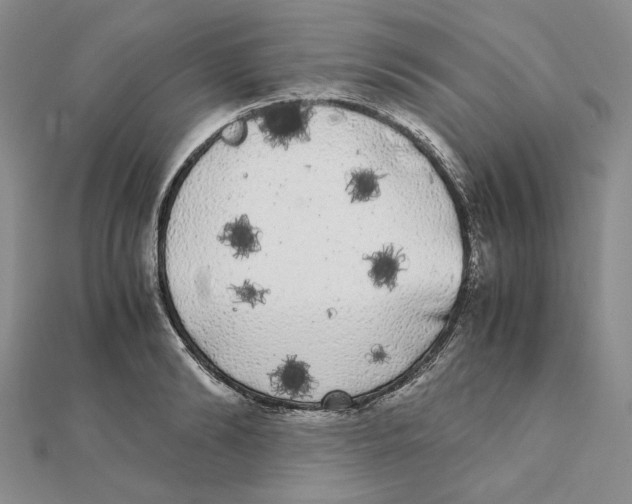 X0000111370894200908071212