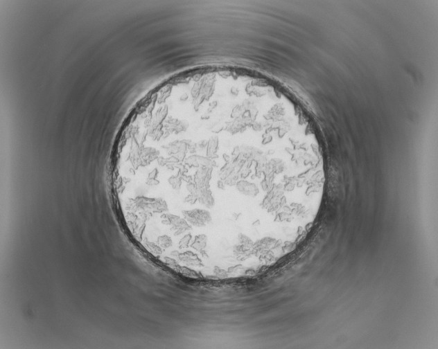 X0000111370895200908071212