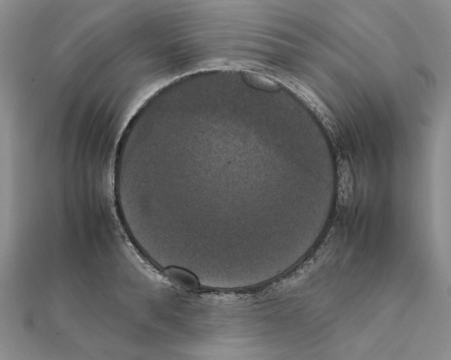X0000111370896200908071212