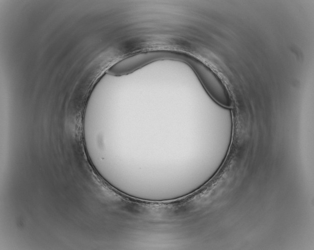 X0000111370897200908071212