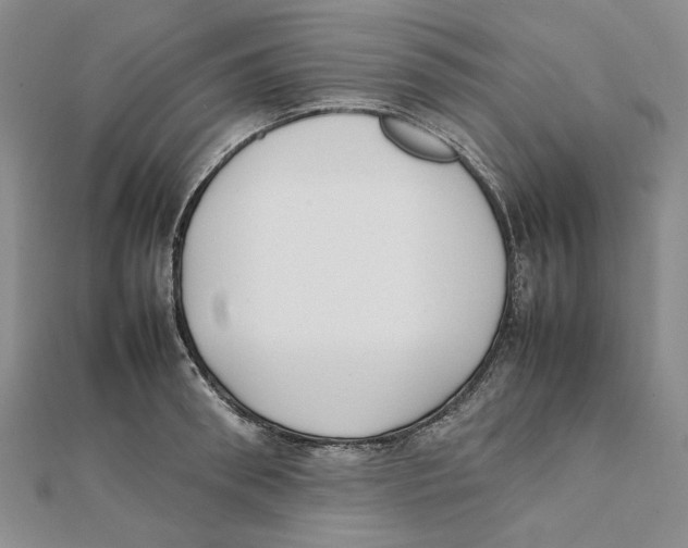 X0000111370898200908071212