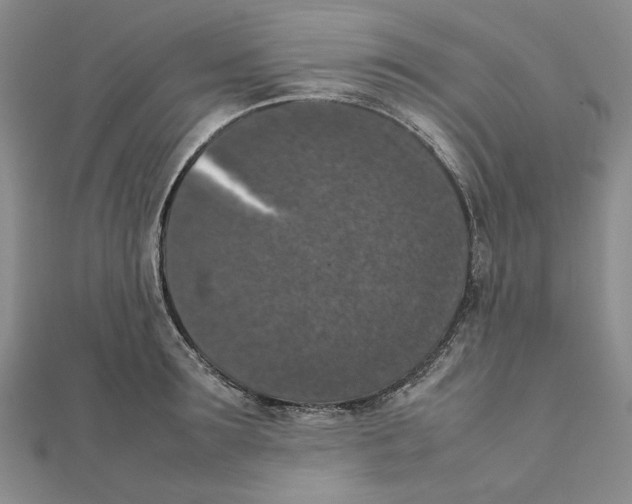 X0000111370899200908071212