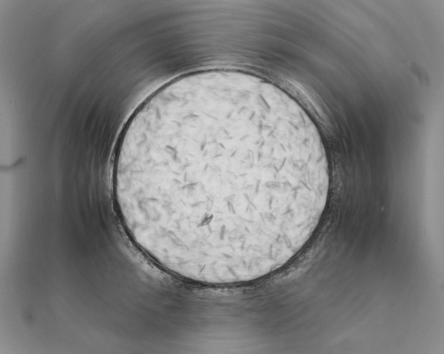 X0000111370900200908071212