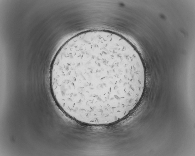 X0000111370903200908071212