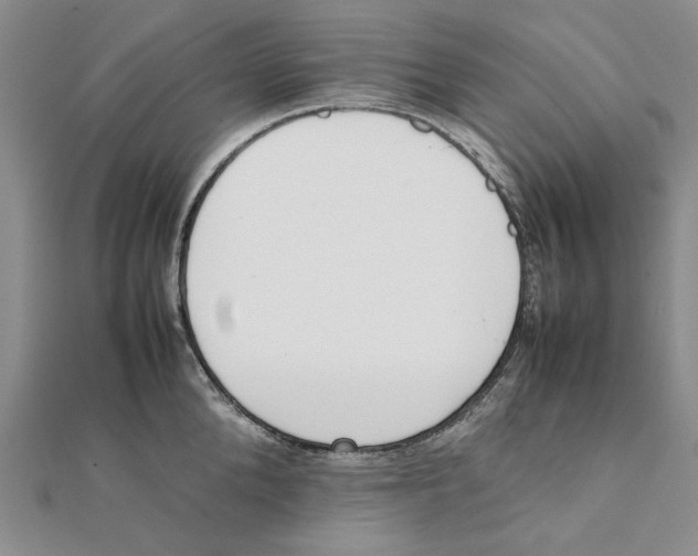 X0000111370904200908071212