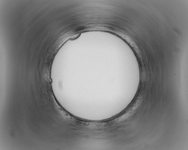 X0000111370905200908071212
