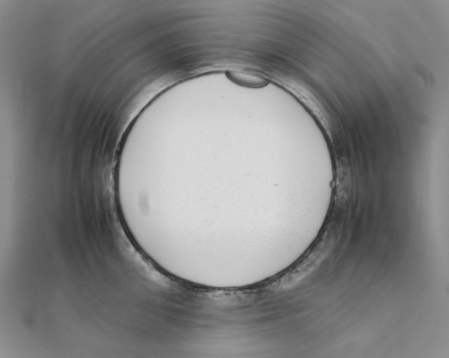X0000111370906200908071212