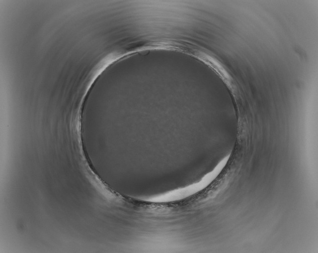 X0000111370907200908071212