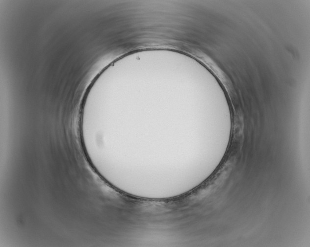 X0000111370909200908071212