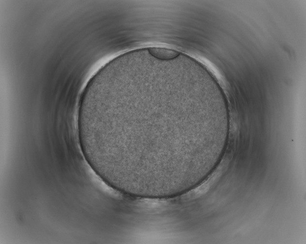 X0000111370910200908071212
