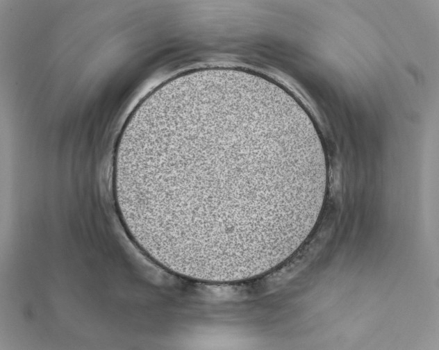 X0000111370911200908071212