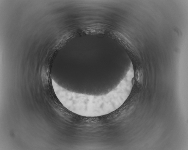 X0000111370915200908071211