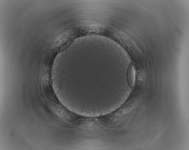X0000111370916200908071211