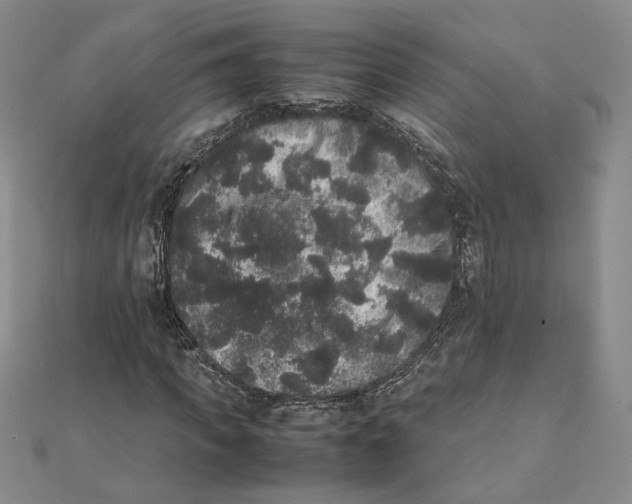 X0000111370917200908071211