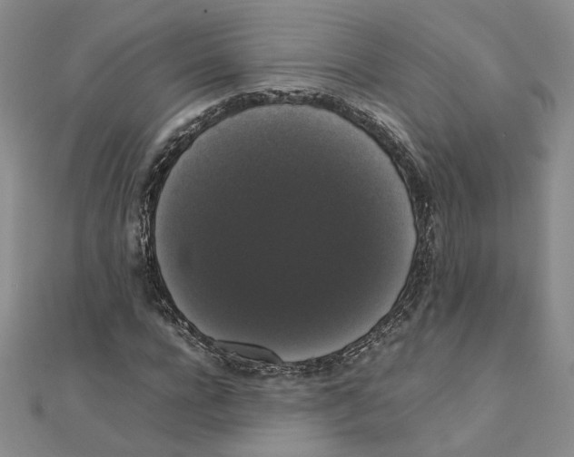 X0000111370920200908071211