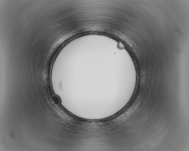 X0000111370922200908071211