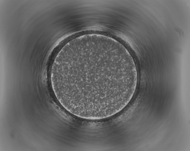 X0000111370923200908071211