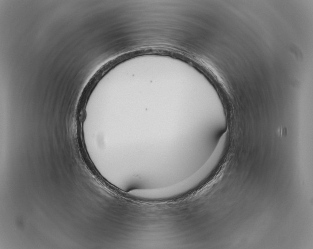 X0000111370924200908071211