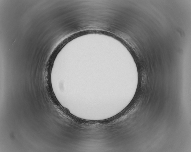 X0000111370926200908071211