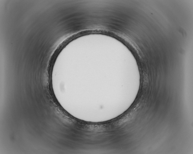 X0000111370927200908071211