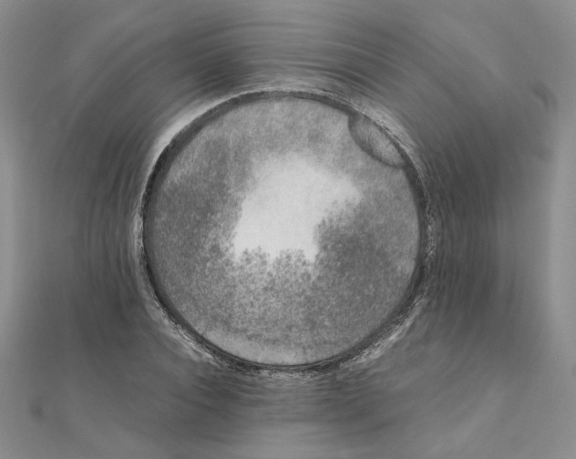 X0000111370928200908071211