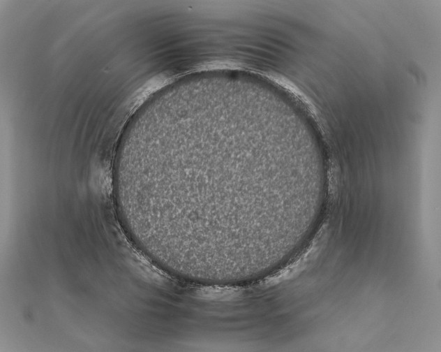 X0000111370929200908071211