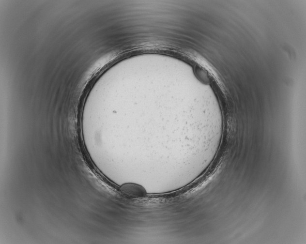 X0000111370930200908071211