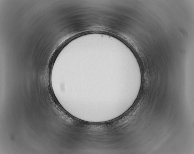 X0000111370931200908071211