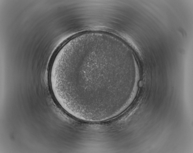 X0000111370932200908071211