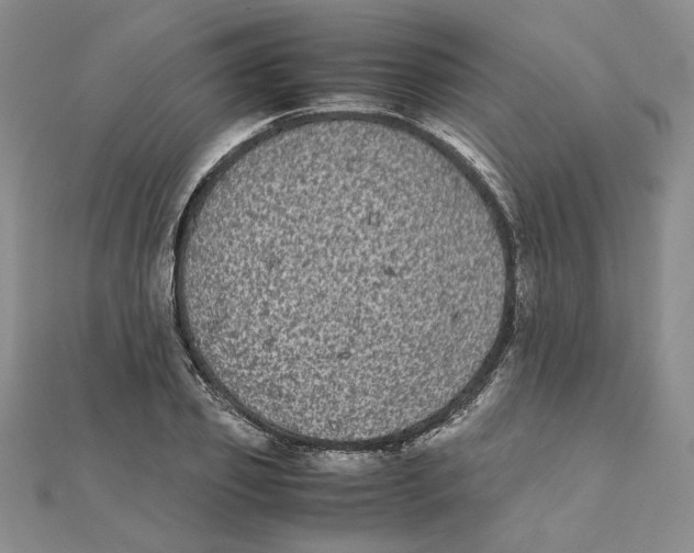 X0000111370933200908071211