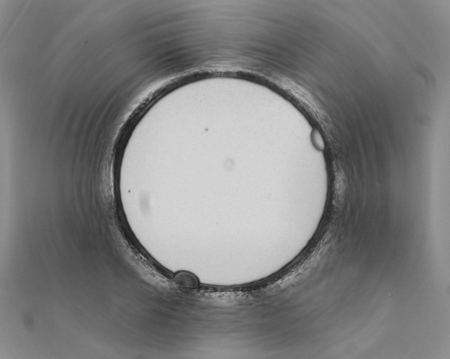 X0000111370934200908071211