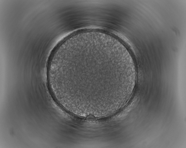 X0000111370935200908071211