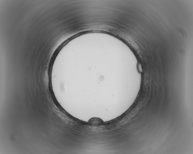 X0000111370936200908071211