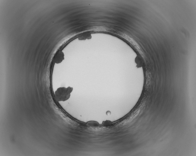 X0000111370939200908071211