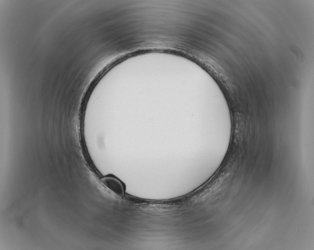 X0000111370942200908071211