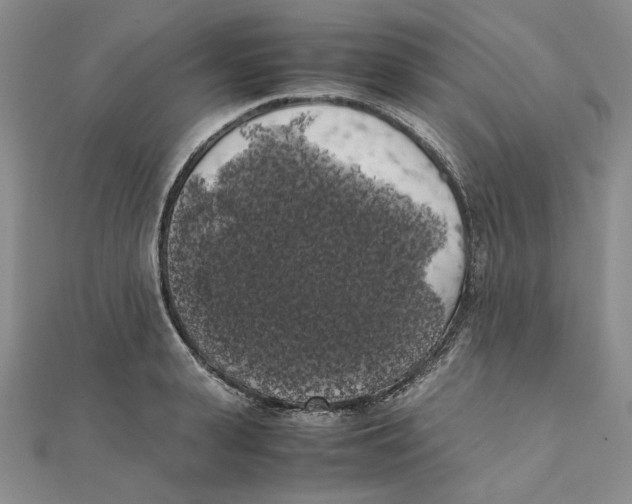 X0000111370943200908071211