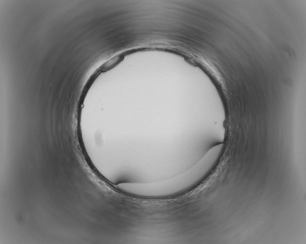 X0000111370944200908071211