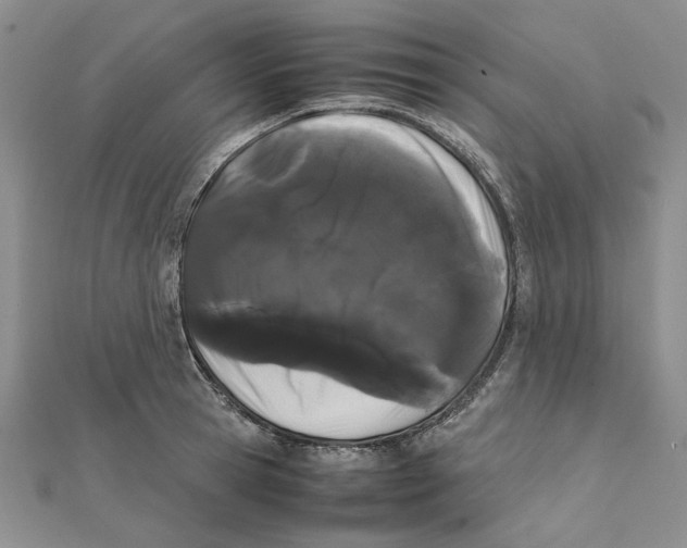 X0000111370945200908071211