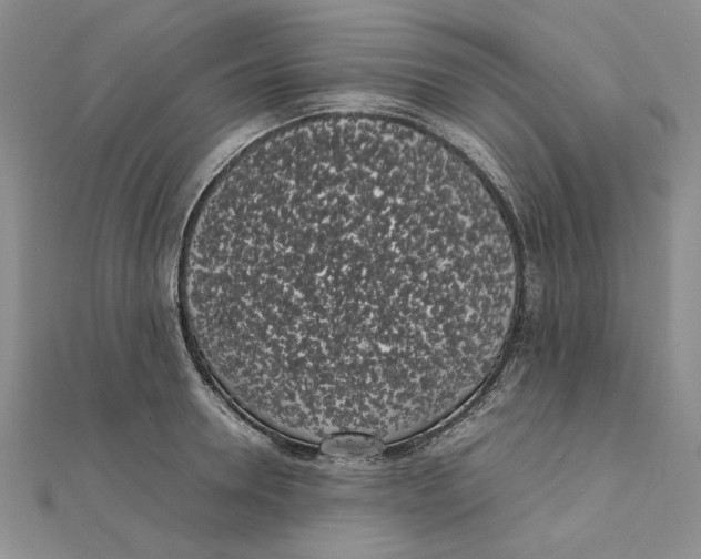 X0000111370946200908071211