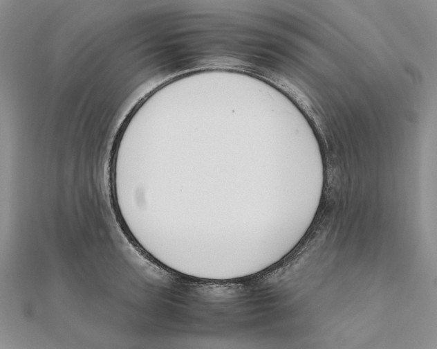 X0000111370947200908071211