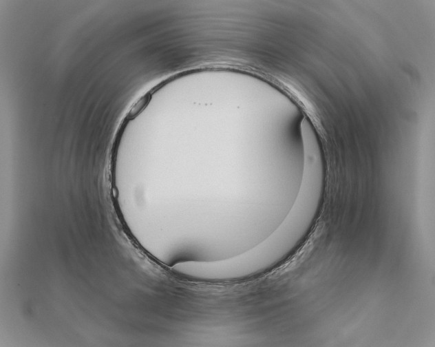 X0000111370948200908071211