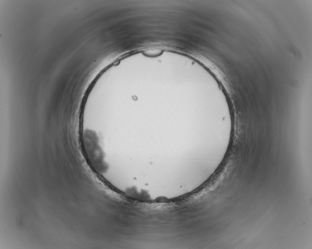 X0000111370949200908071211