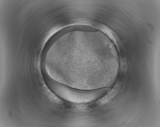 X0000111370952200908071211