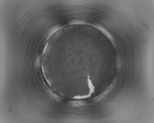 X0000111370953200908071211